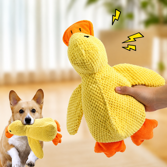 QuackPal™ | Het favoriete speelmaatje van je hond